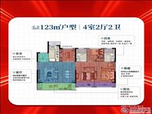 东棠春晓 15楼 123平方 精致装修 四室 160万元开发商精装